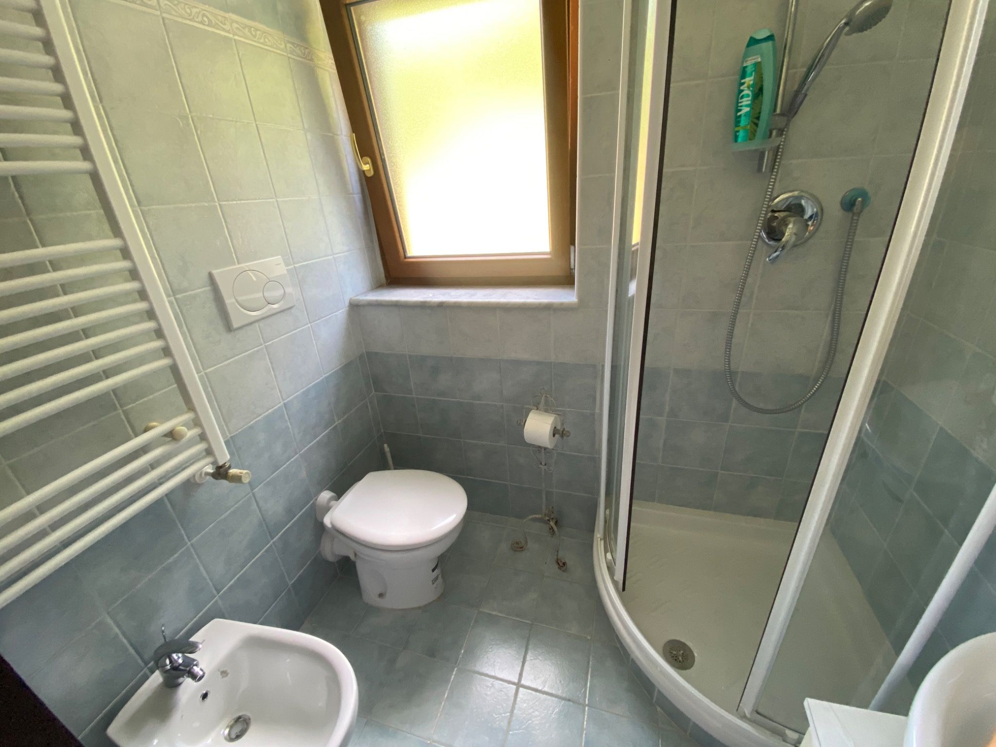 Third bathroom with shower and window